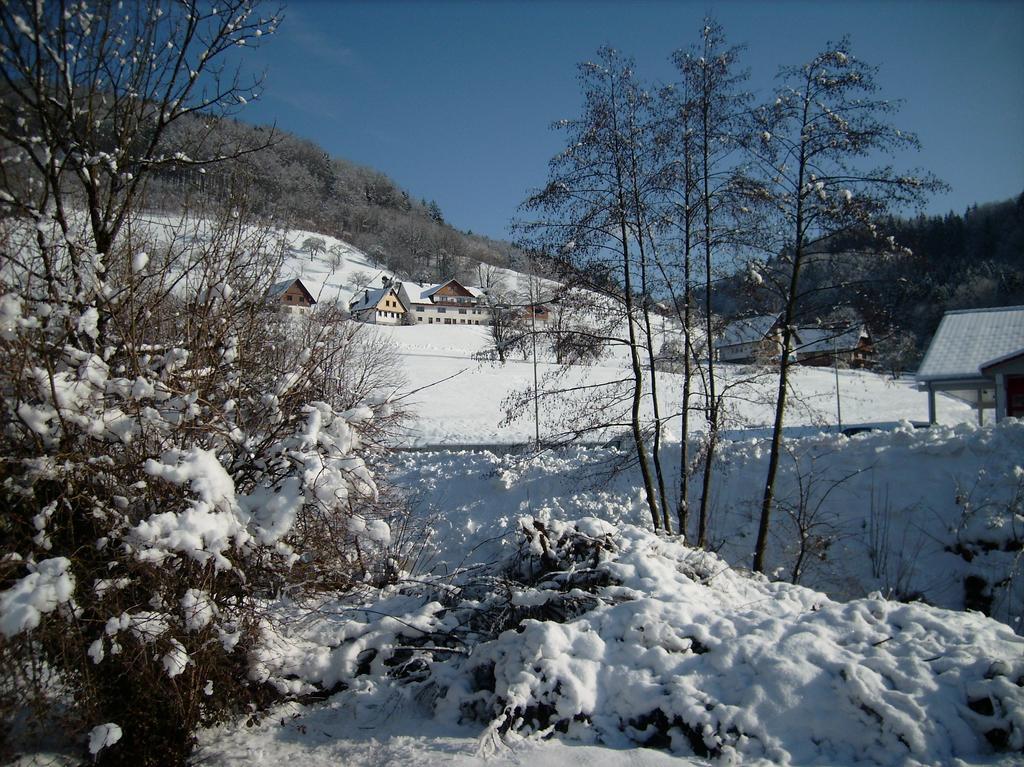 Hotel Finken, Gaestezimmer An Der Rench à Oppenau Extérieur photo