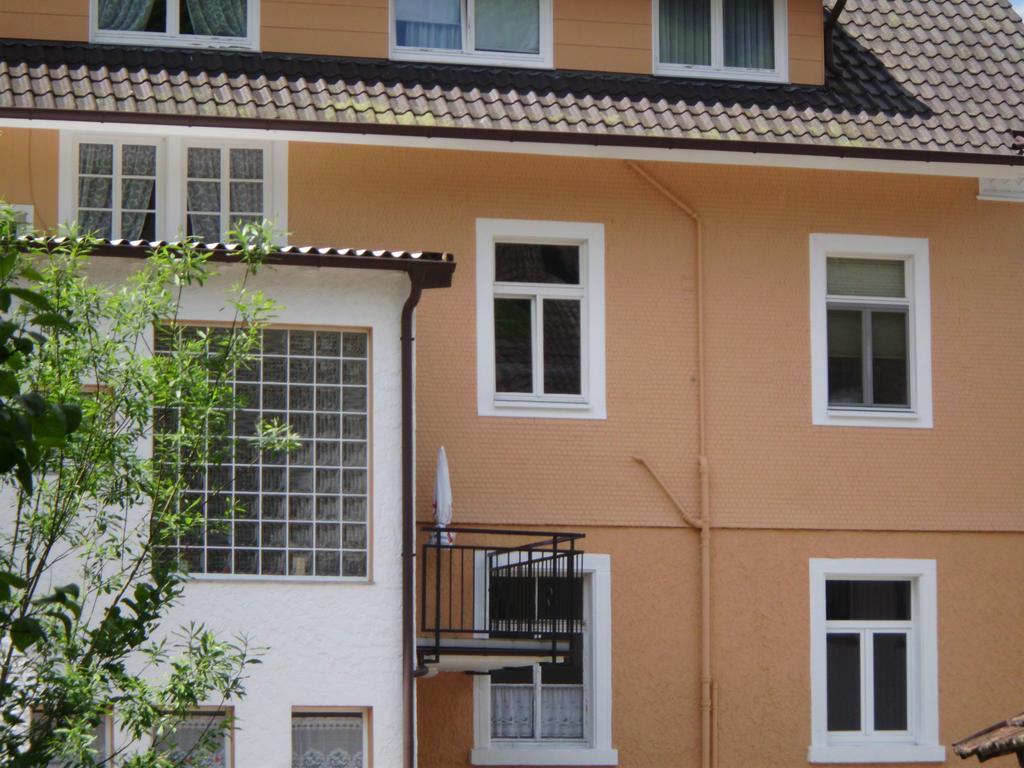 Finken, Gaestezimmer An Der Rench Oppenau Extérieur photo